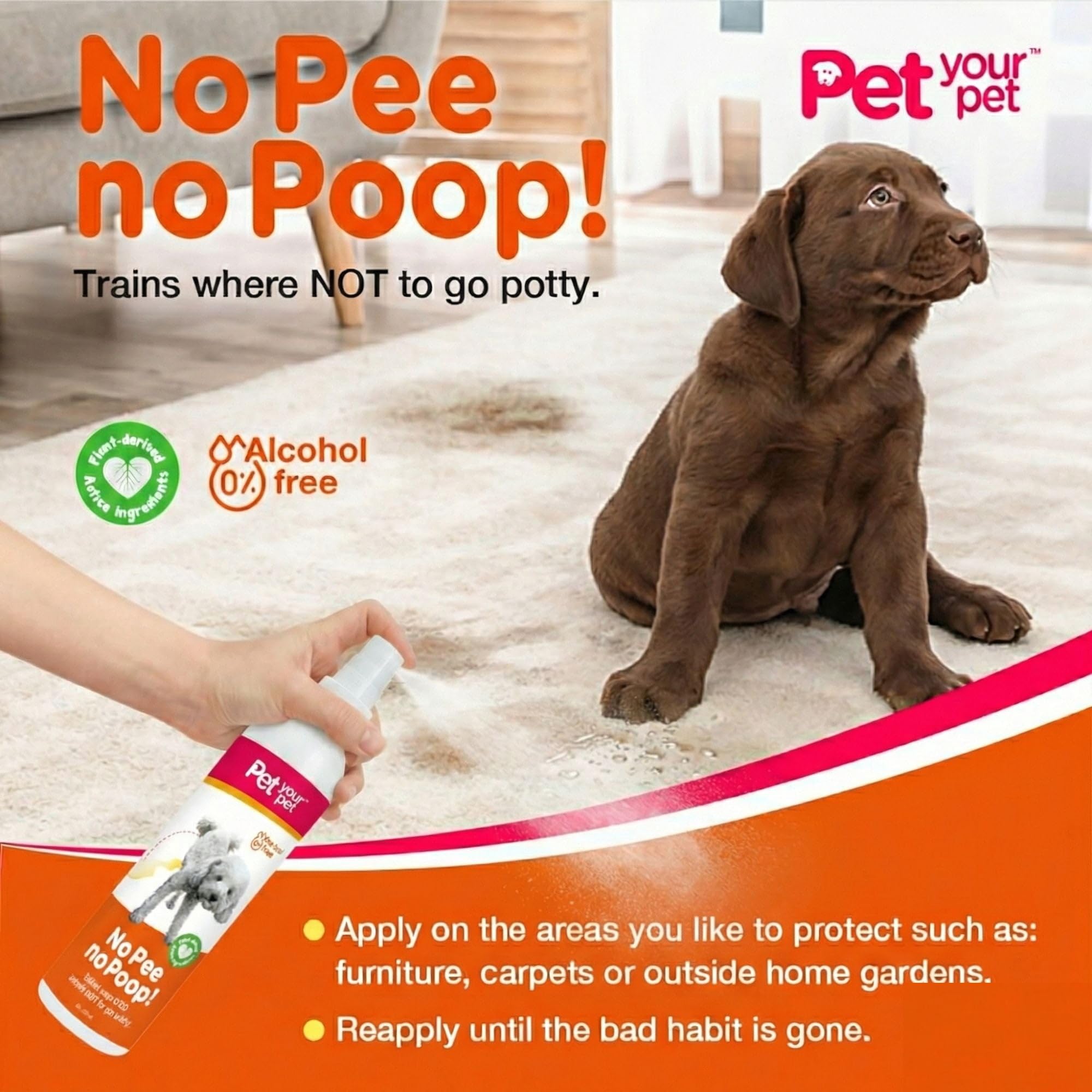 PET YOUR PET bouteille vue 3/4 illustre design facile à ranger