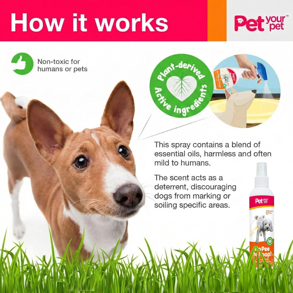 PET YOUR PET gros plan buse spray pour application précise et pratique