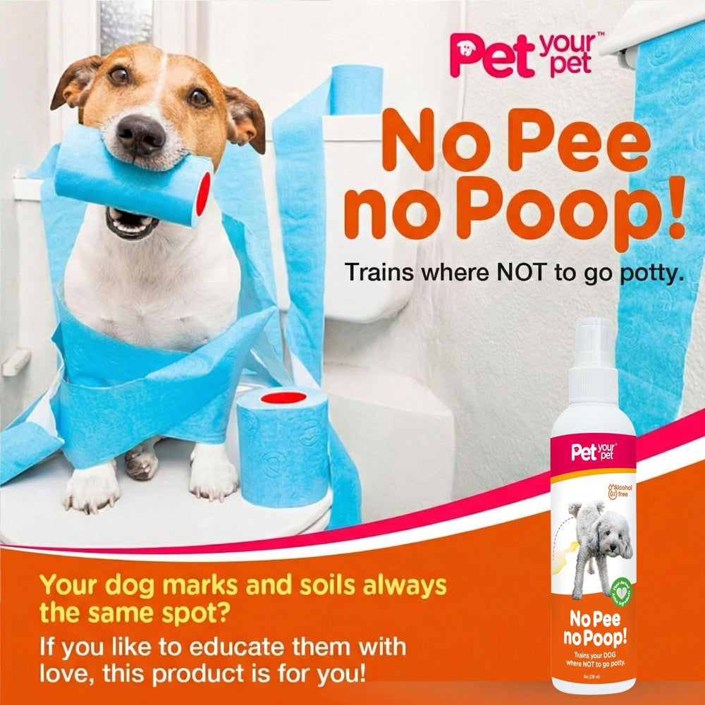 PET YOUR PET flacon posé dans une main montre échelle et maniabilité