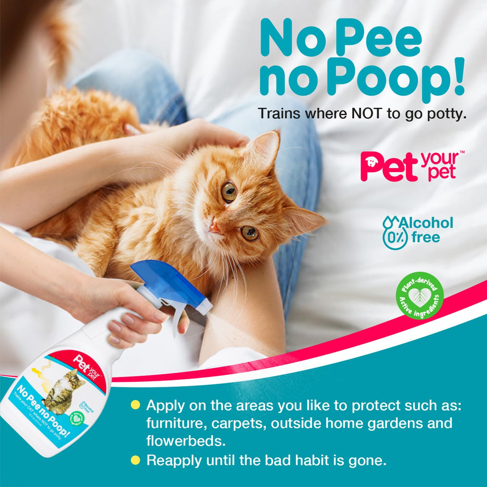 PET YOUR PET mise en scène salon montrant un intérieur préservé