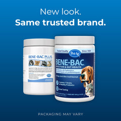 PetAg Bene-Bac poudre gros plan texture fine pour mélange facile