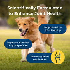 Zoom étiquette PetAg Dyne soulignant UC‑II® et formulation vétérinaire
