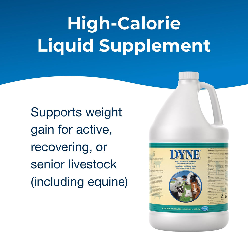 PetAg Dyne étiquette lisible contenant informations nutritionnelles utiles