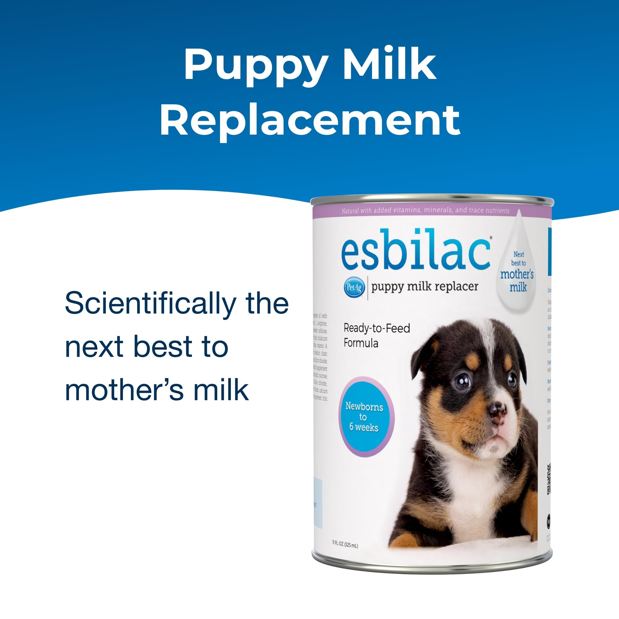 PetAg Esbilac gros plan sur texture liquide facilitant digestion des chiots