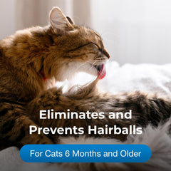 Administration du gel PetAg dans la gueule d'un chat montrant facilité d'utilisation