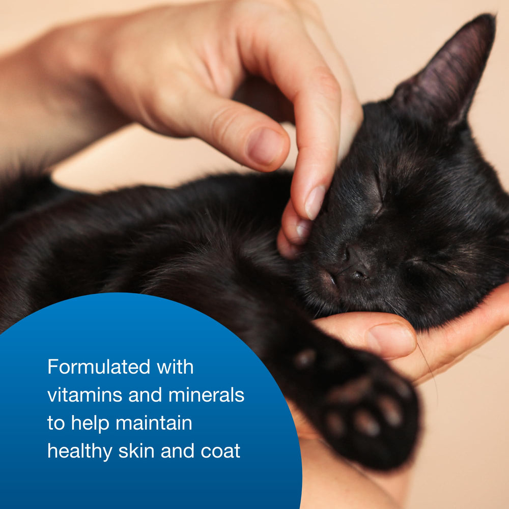 PetAg scène domestique montrant l'utilisation du gel pour soutenir l'appétit du chat