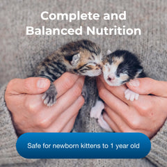 PetAg KMR Kitten mélange dans biberon préparé rapidement et sûr
