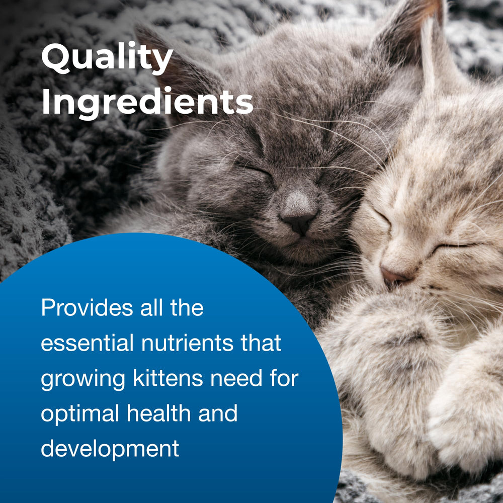 PetAg KMR chaton buvant, soutien nutritif pour croissance et bien-être
