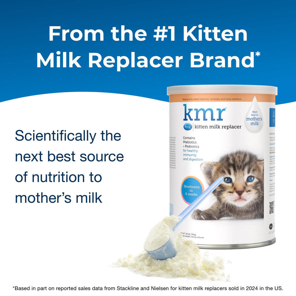 PetAg poudre KMR gros plan illustrant la texture fine et l’’appel alimentaire