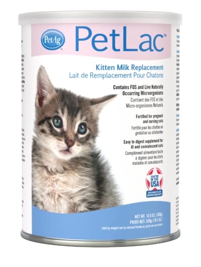 PetAg PetLac chaton tétée soulignant acceptation rapide et soutien nutritionnel