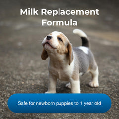 PetAg PetLac versé dans un biberon pour alimentation hygiénique des chiots