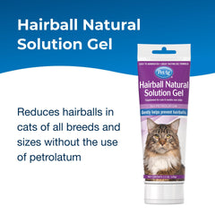 Texture du gel PetAg gros plan montrant consistance lisse et appétente pour administration facile