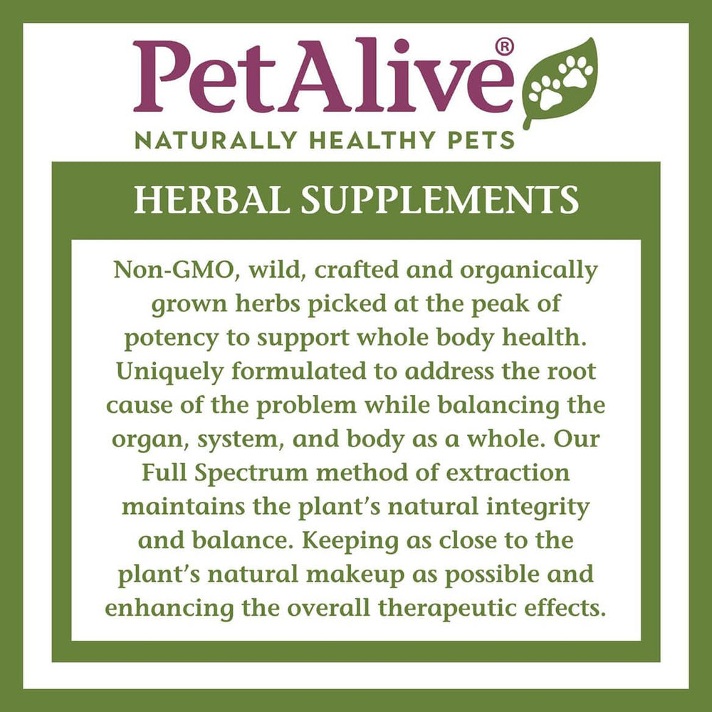 Chien acceptant PetAlive Cushex Drops‑S illustrant administration sans stress