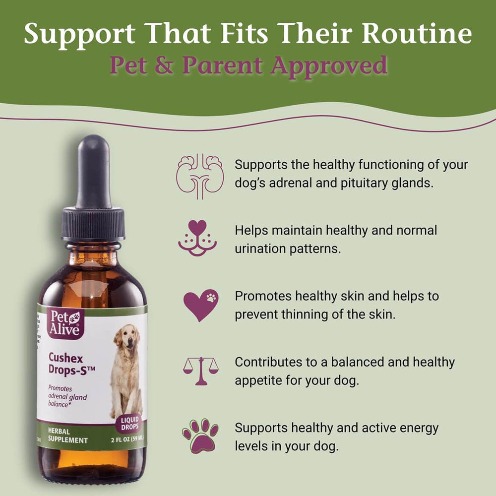 PetAlive Cushex Drops‑S compte‑gouttes en main facilitant administration quotidienne