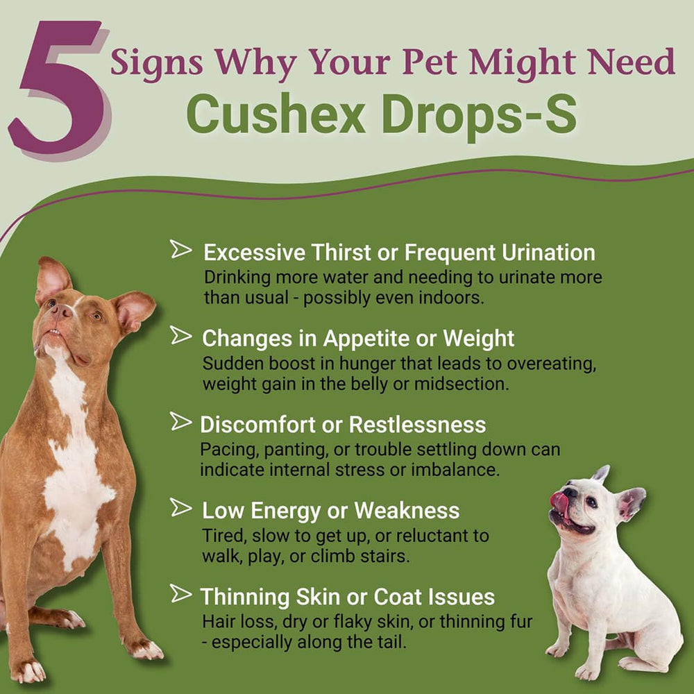 PetAlive Cushex Drops‑S étiquette lisible montrant ingrédients naturels et usage