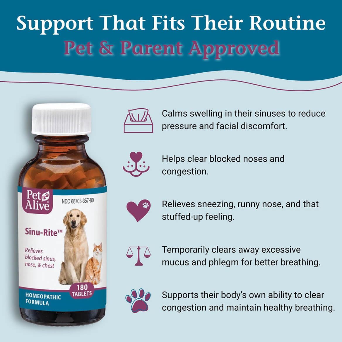 PetAlive comprimés dans la main pour visualiser dosage et commodité