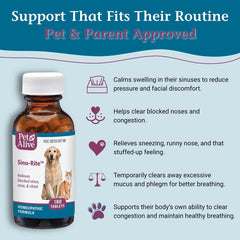 PetAlive comprimés dans la main pour visualiser dosage et commodité