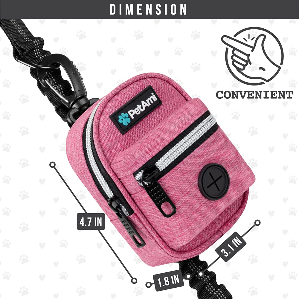 PetAmi fixation clip et velcro attachée à une laisse pour sécurité