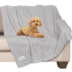 PetAmi couverture avant emballage montrant protection et taille pratiques