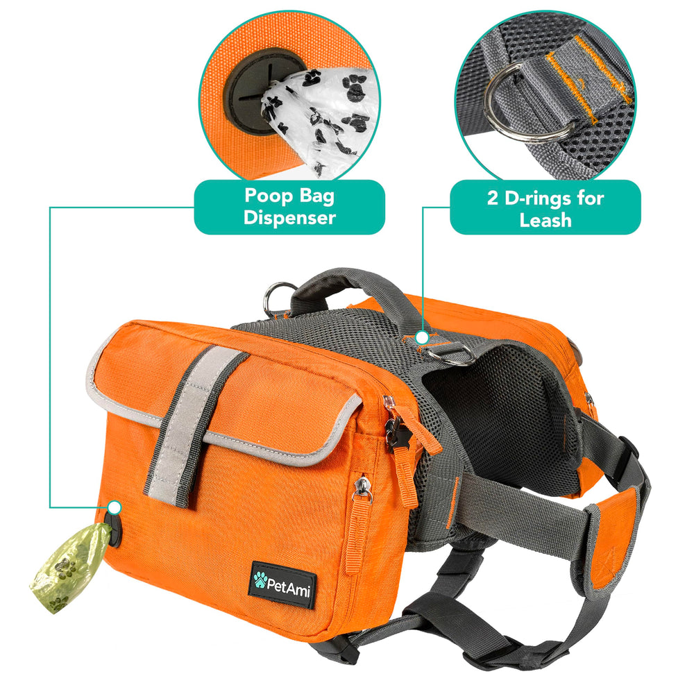 PetAmi chien en randonnée portant le sac, confort et rangement optimisés