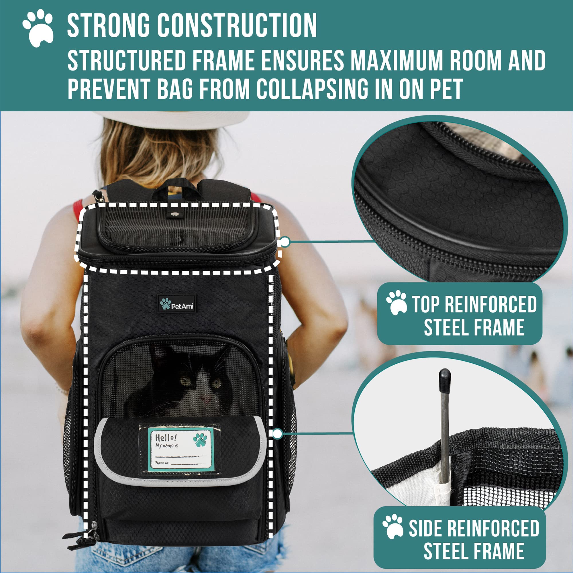 PetAmi comparaison taille avec petit chien illustrant capacité