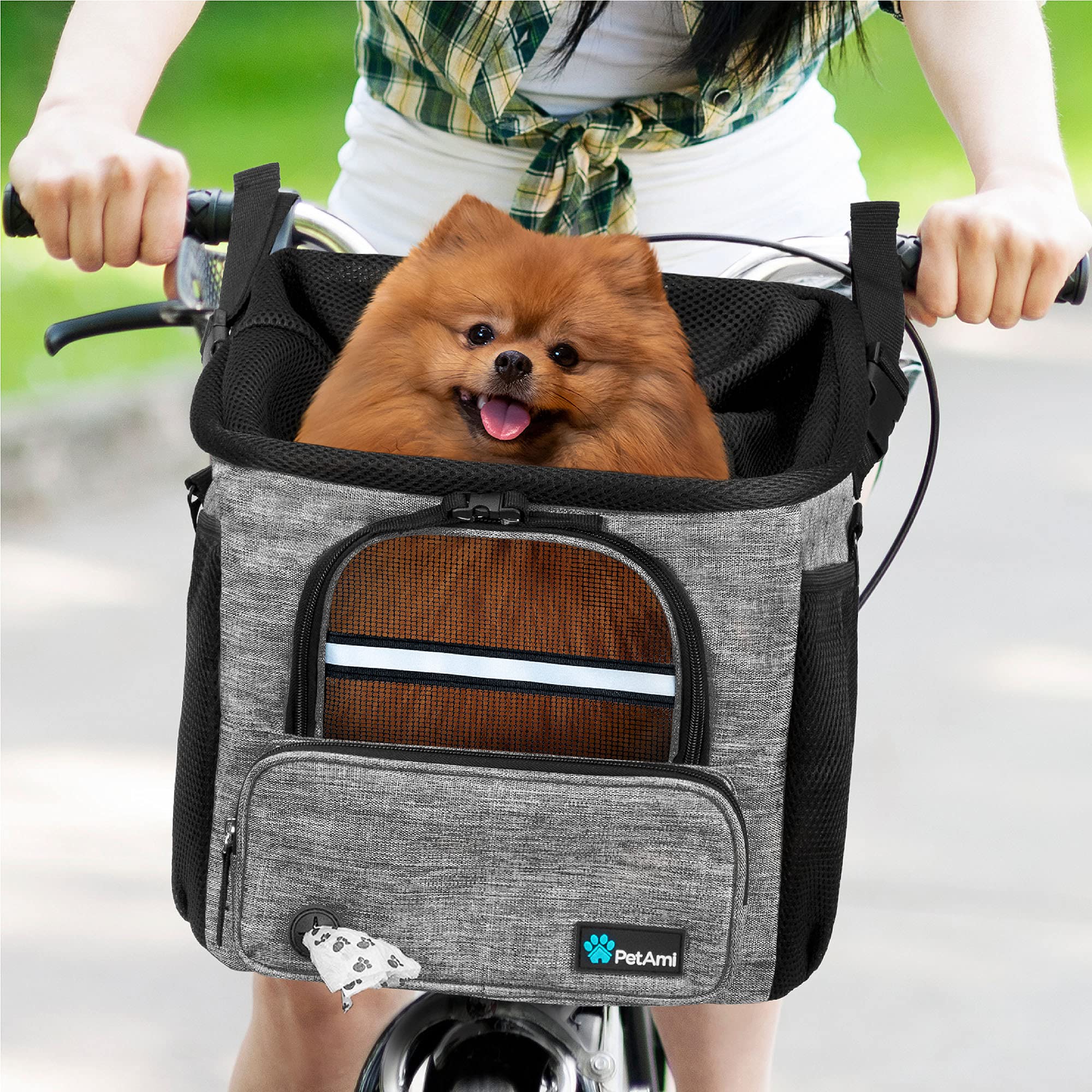 PetAmi à côté d'un petit chien pour comparaison de taille et ajustement