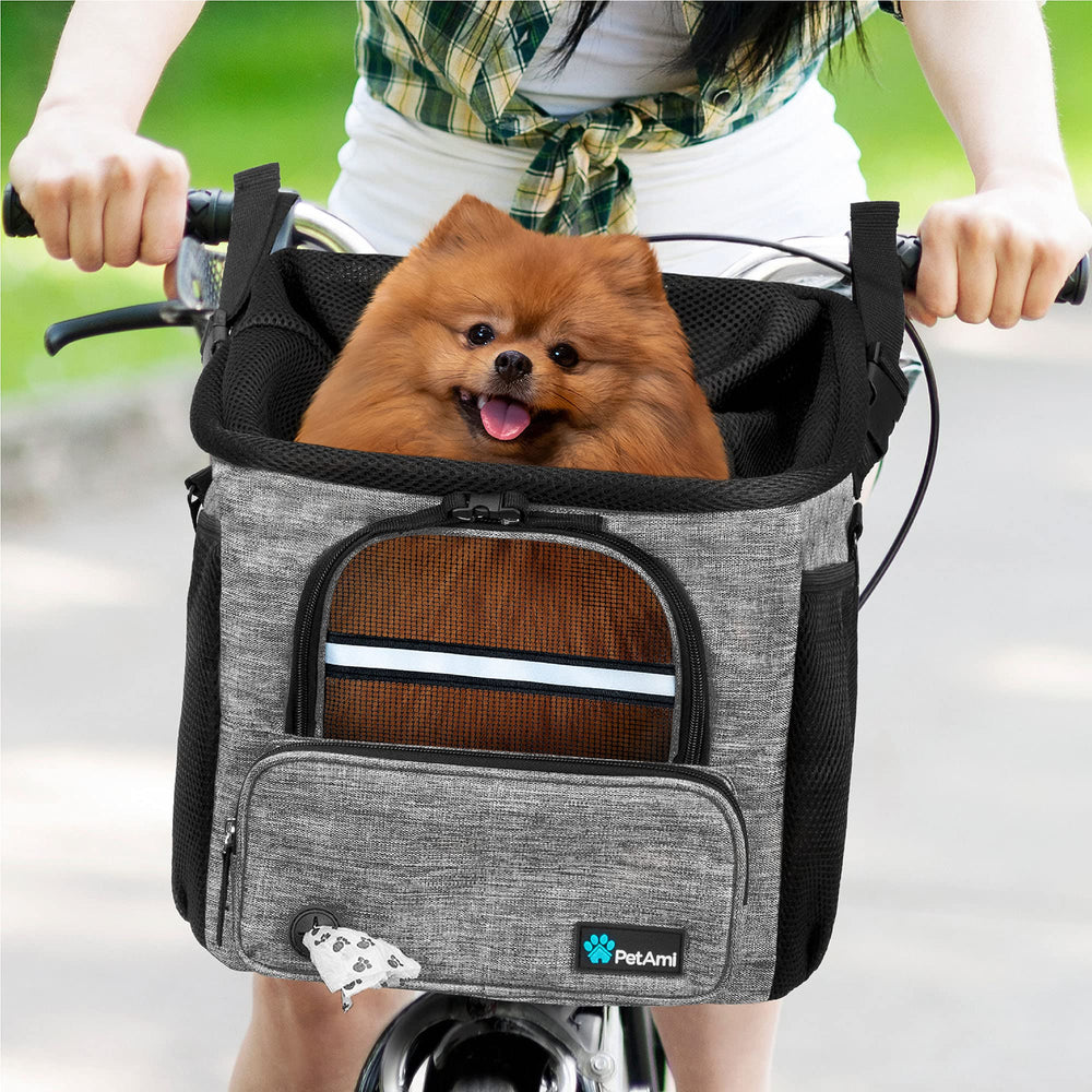 PetAmi à côté d'un petit chien pour comparaison de taille et ajustement