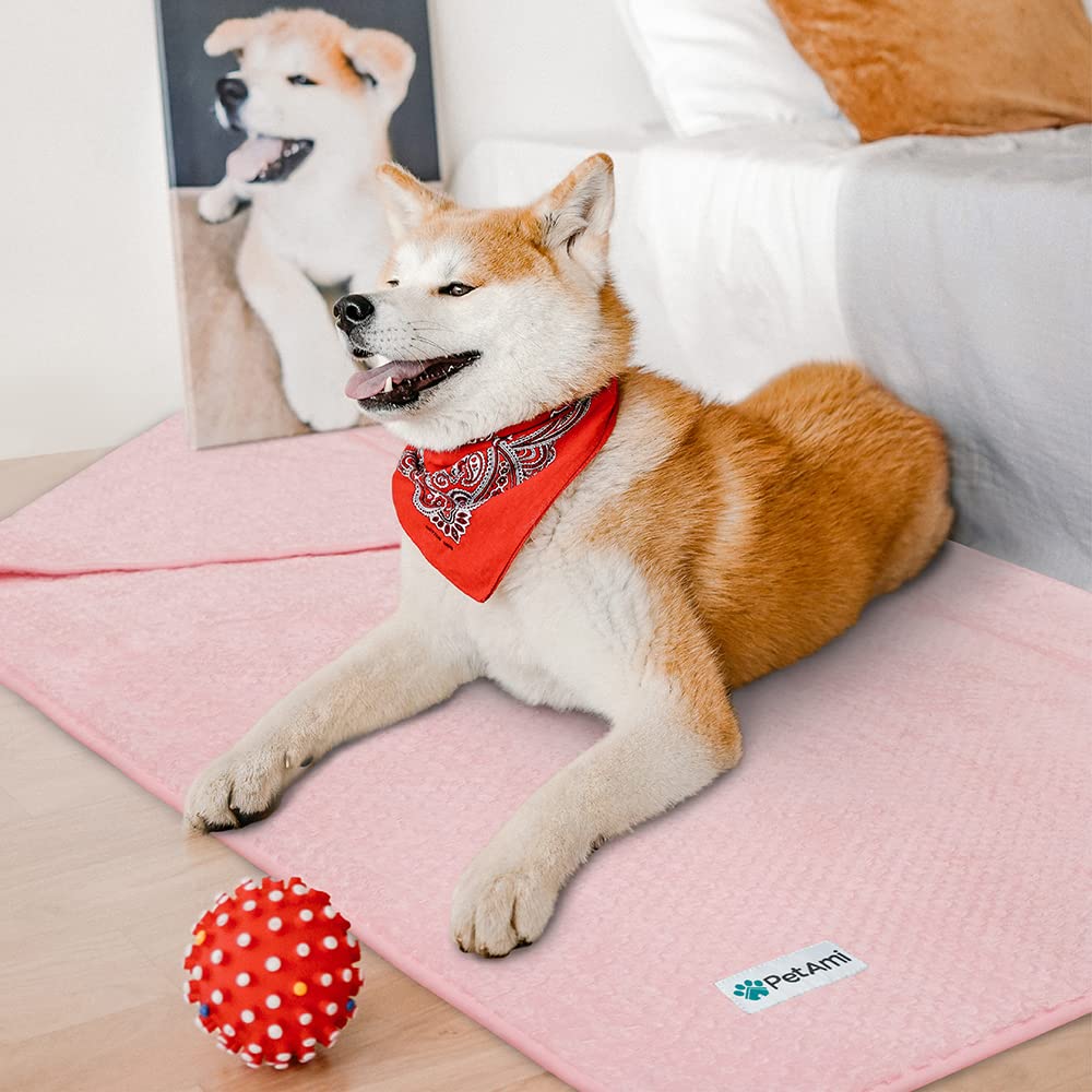 PetAmi couverture dans panier avec chiot, confort chaleureux immédiat
