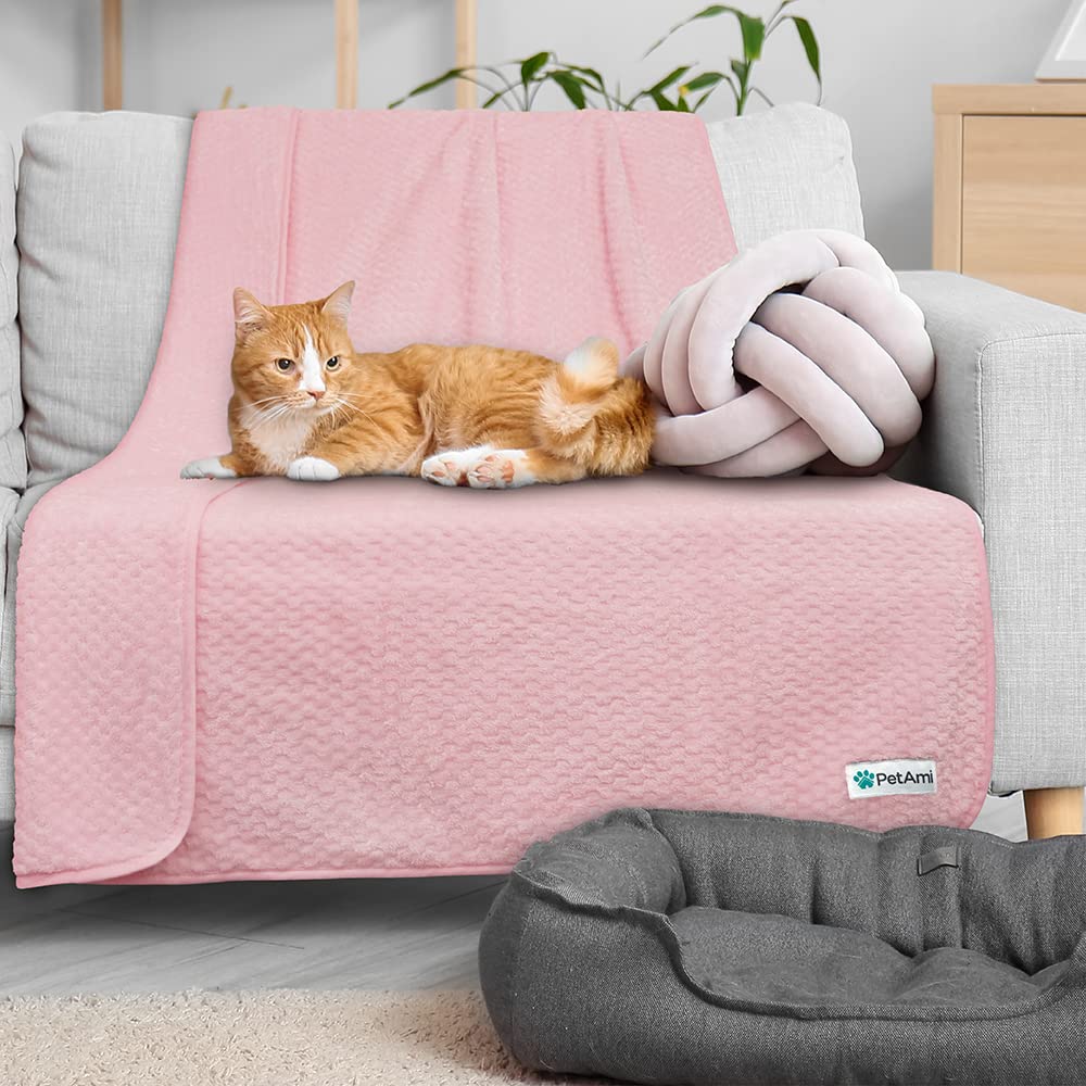 PetAmi comparaison taille avec objet, visualisation dimensions 40x60