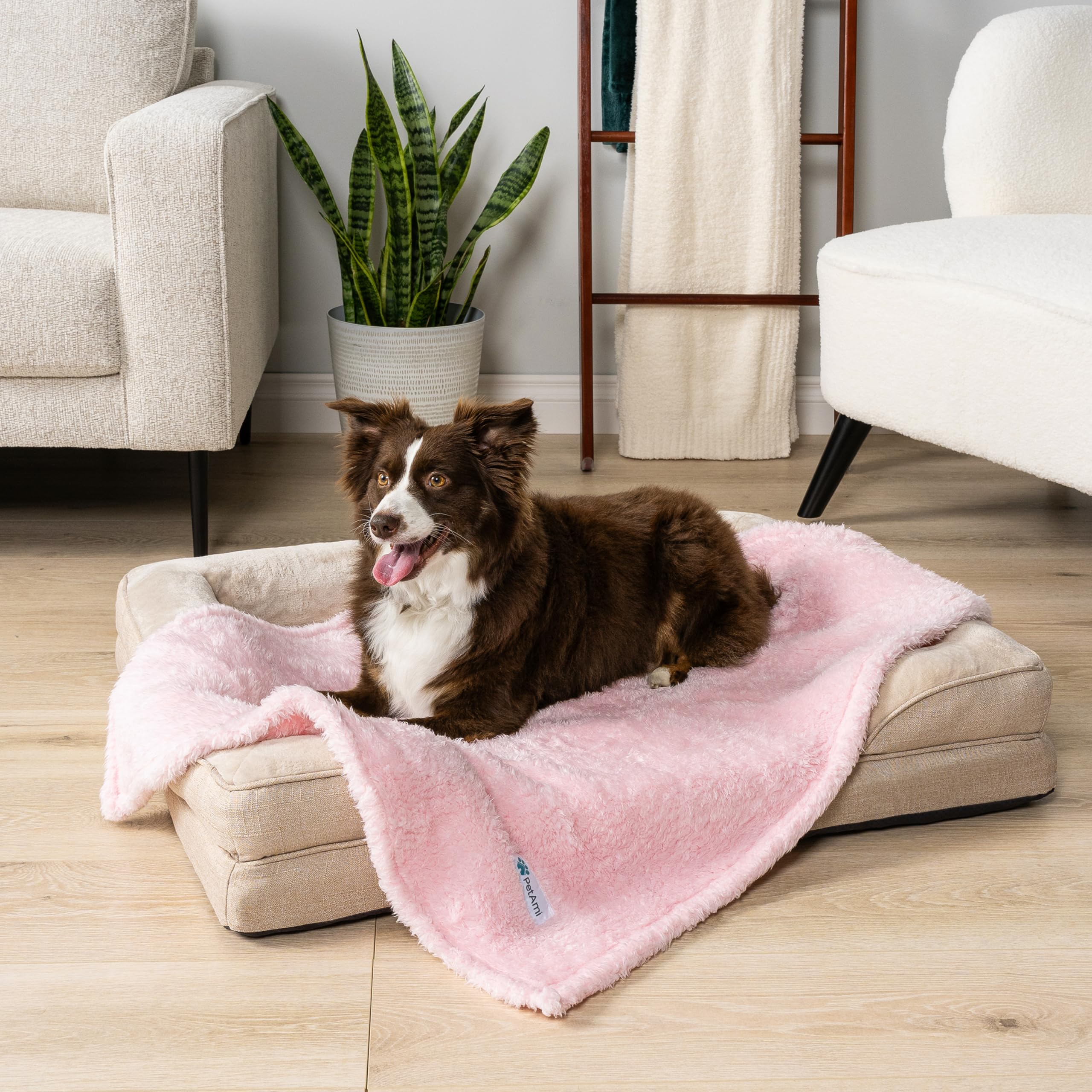 PetAmi face microfibre lisse pour protéger meubles et attraper poils