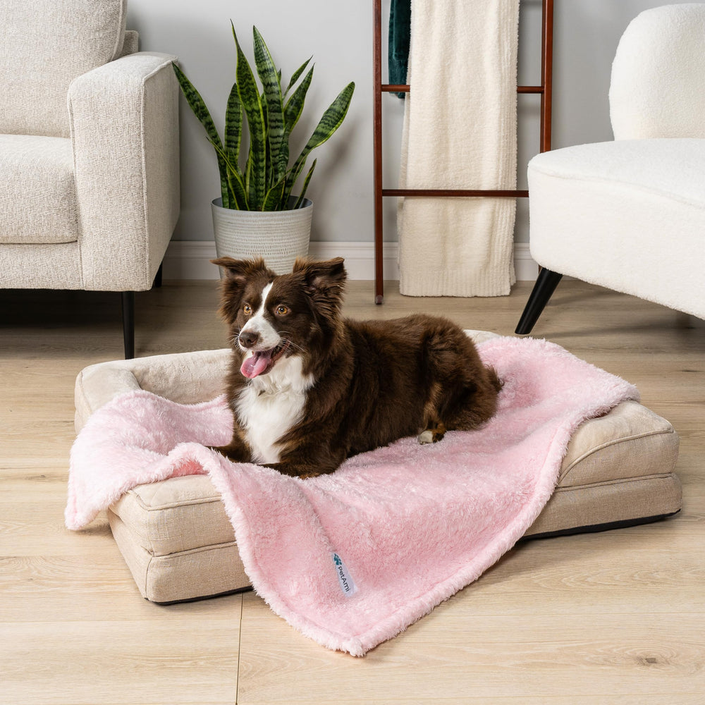 PetAmi face microfibre lisse pour protéger meubles et attraper poils