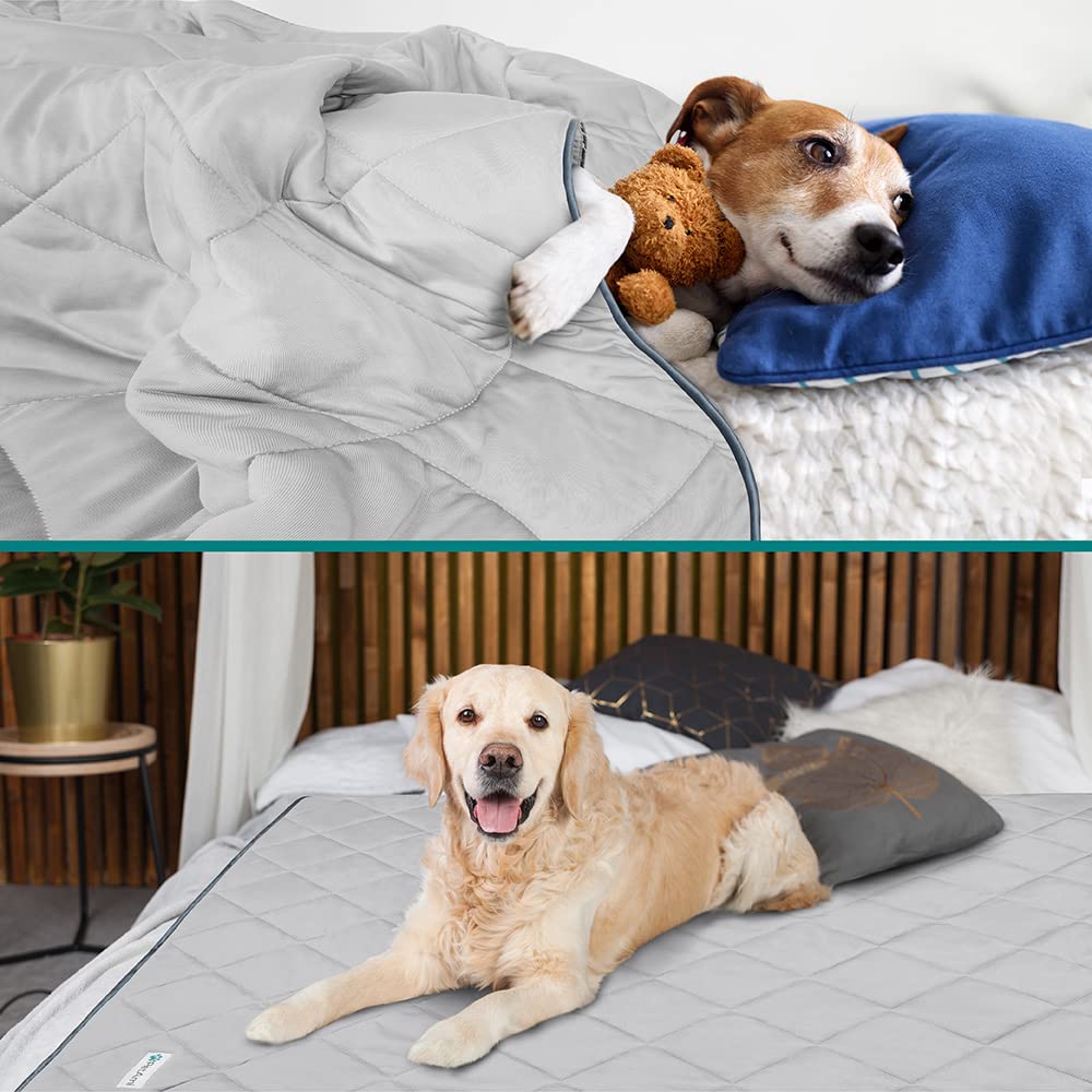 PetAmi gros plan face pelucheuse douceur et régulation thermique pour animaux