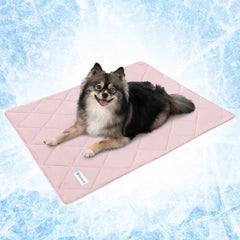 PetAmi couverture recto rose montrant confort et protection du canapé