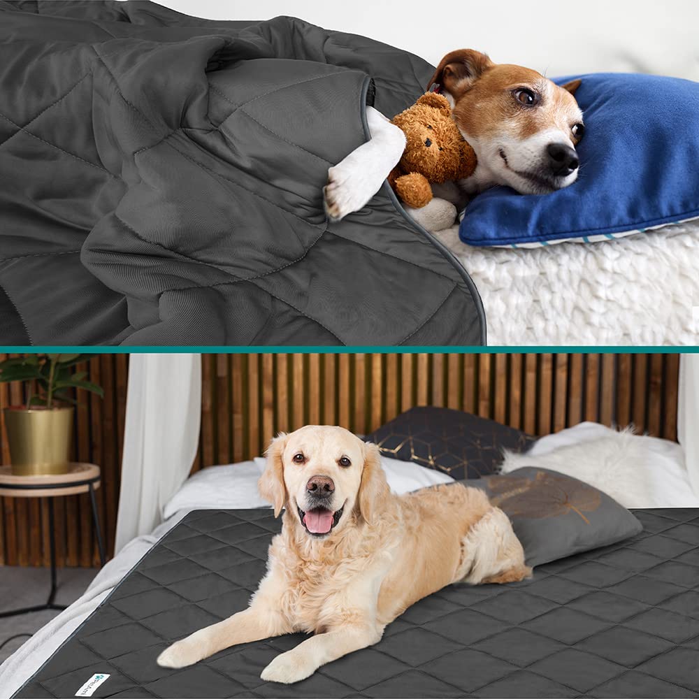 PetAmi couverture verso peluche douce apportant confort et apaisement