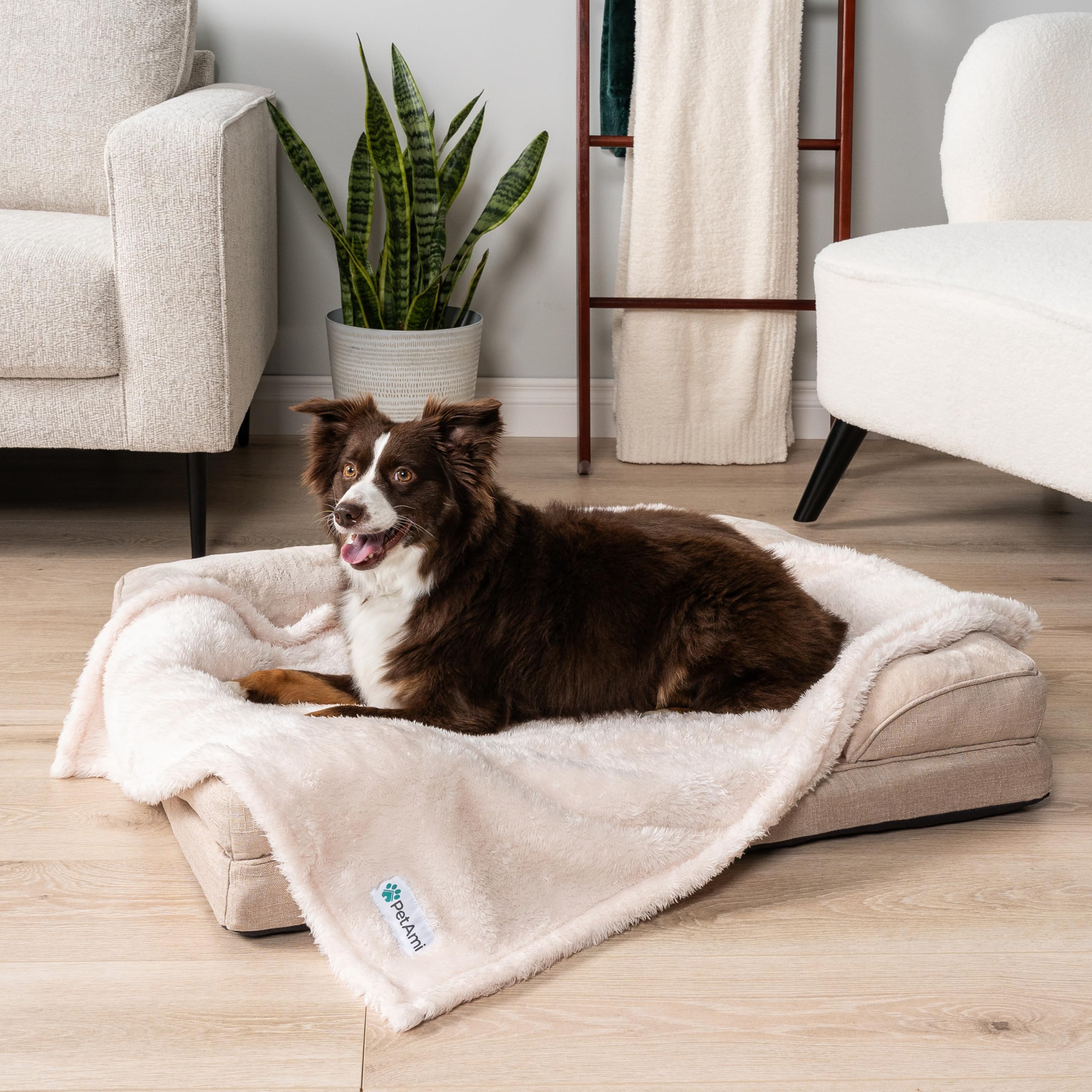 PetAmi détail couture renforcée pour durabilité accrue