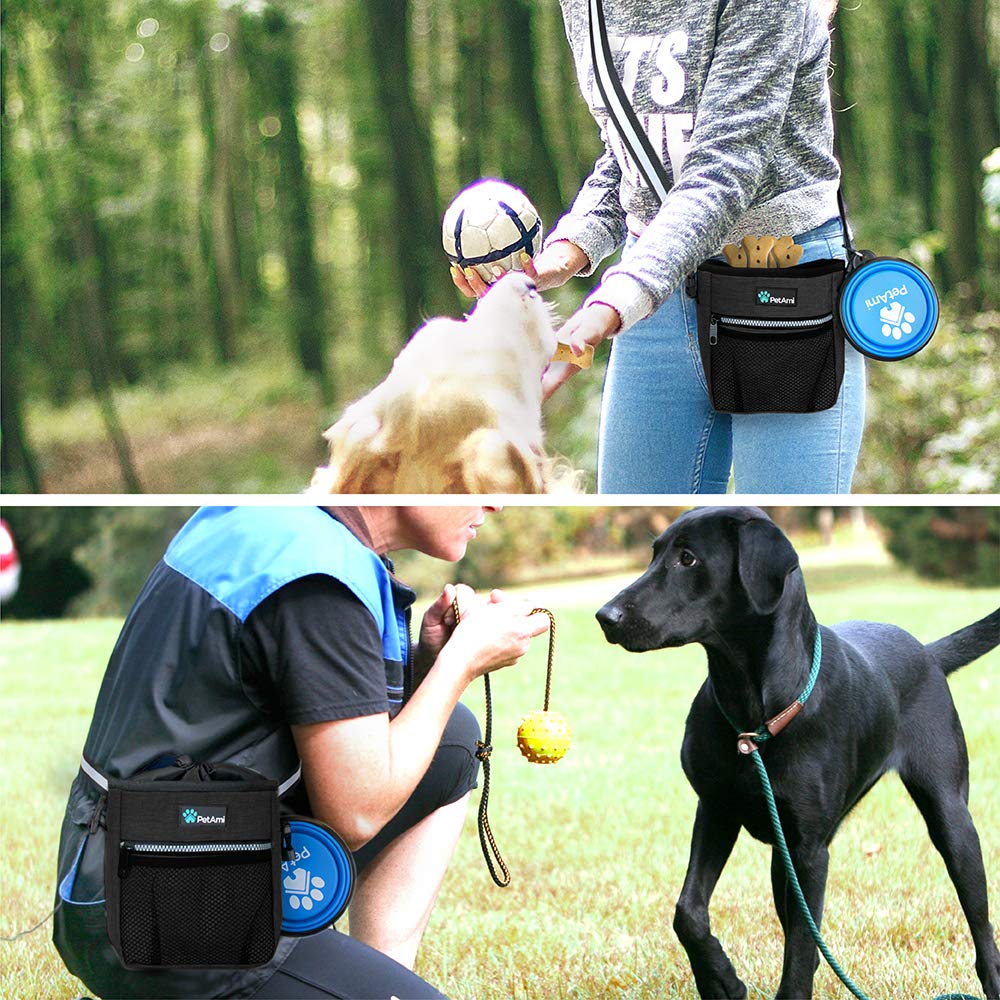 PetAmi distributeur de sacs arrière facilitant gestion hygiénique en promenade