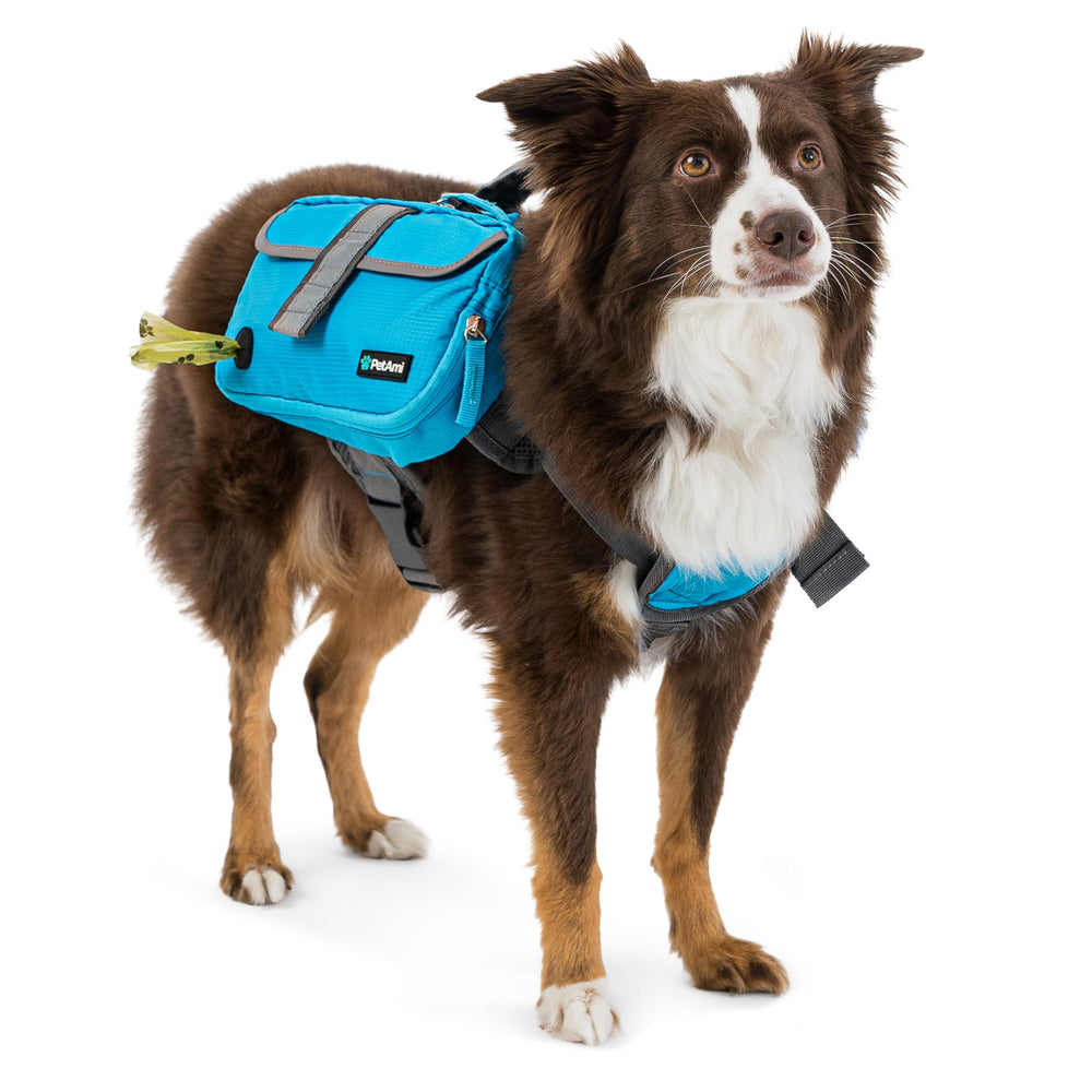PetAmi rembourrage dorsal et harnais, assure confort respirant au chien