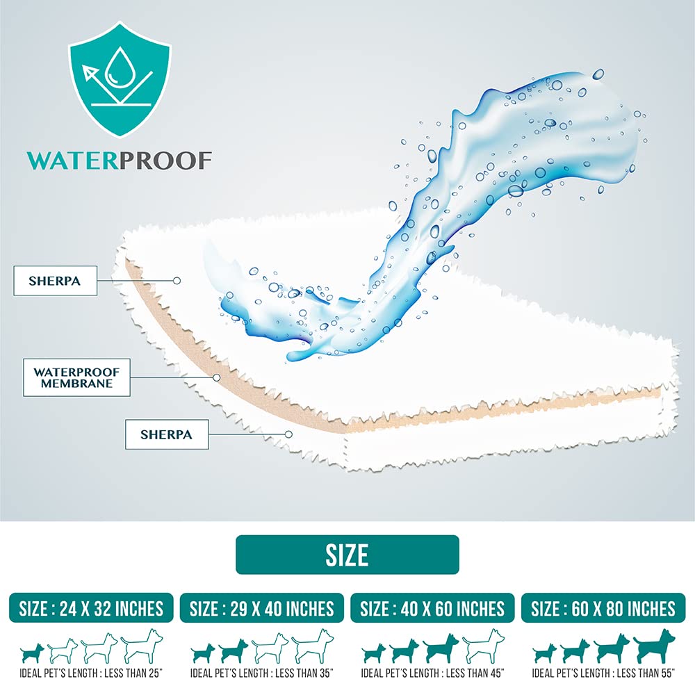 PetAmi comparaison taille avec chat montrant couverture adaptée moyenne