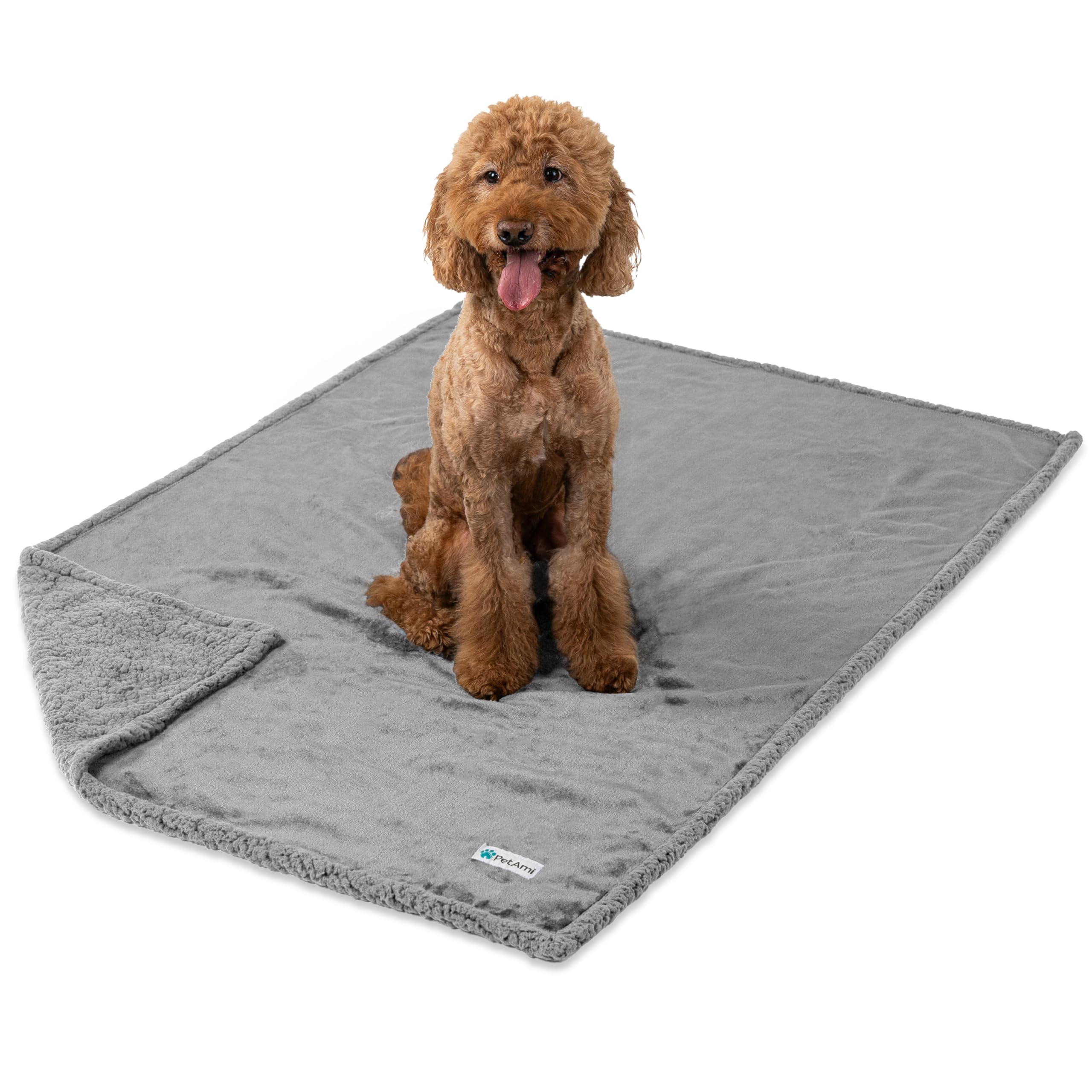 Chien dormant sur plaid PetAmi montrant confort et sécurité