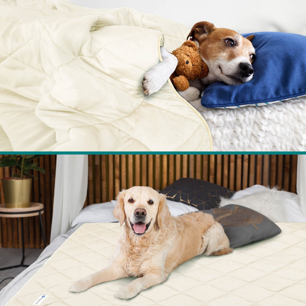 PetAmi verso moelleux offre confort apaisant pour animaux