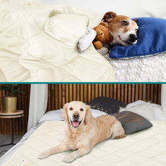 PetAmi verso moelleux offre confort apaisant pour animaux