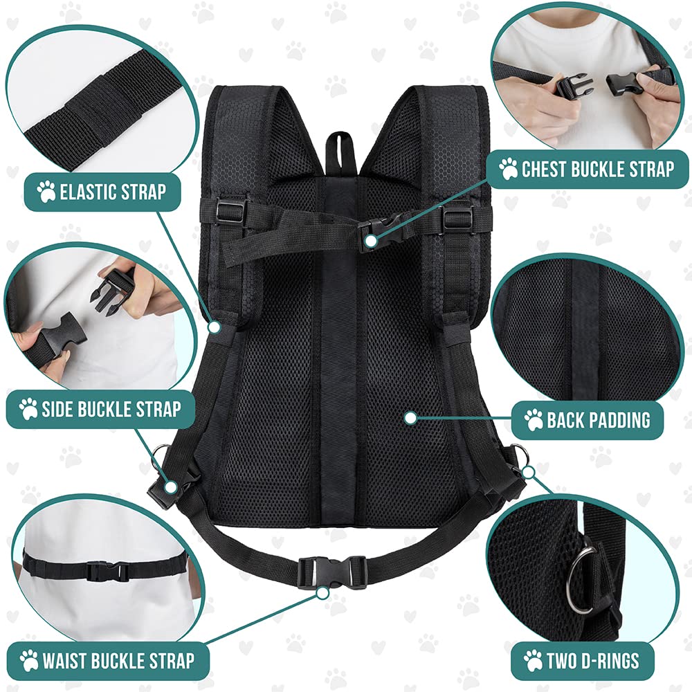 Poches frontales et distributeur de sacs PetAmi visibles, rangement pratique pour accessoires