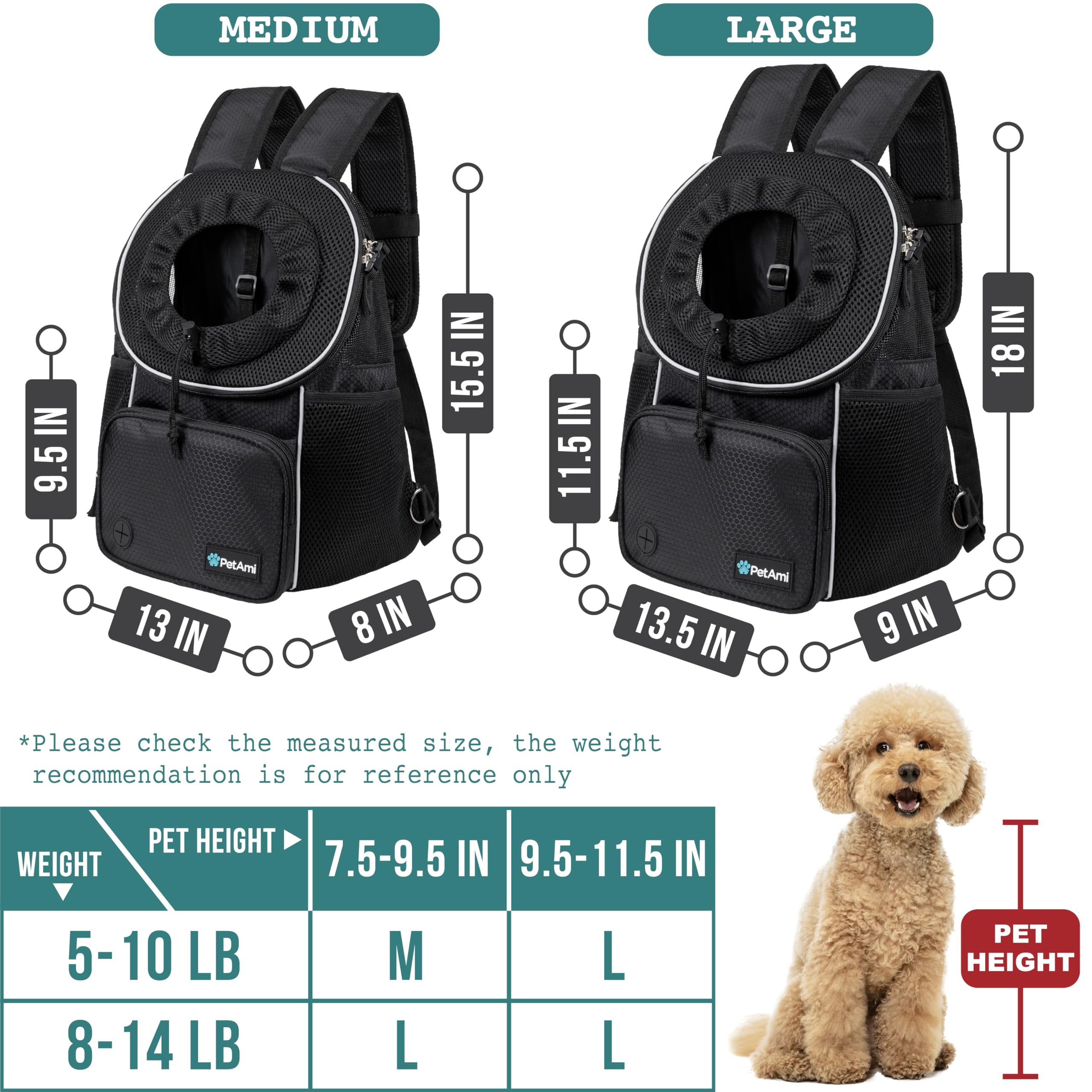 Personne portant un chien en randonnée avec le sac PetAmi, facilite transport mains libres en nature