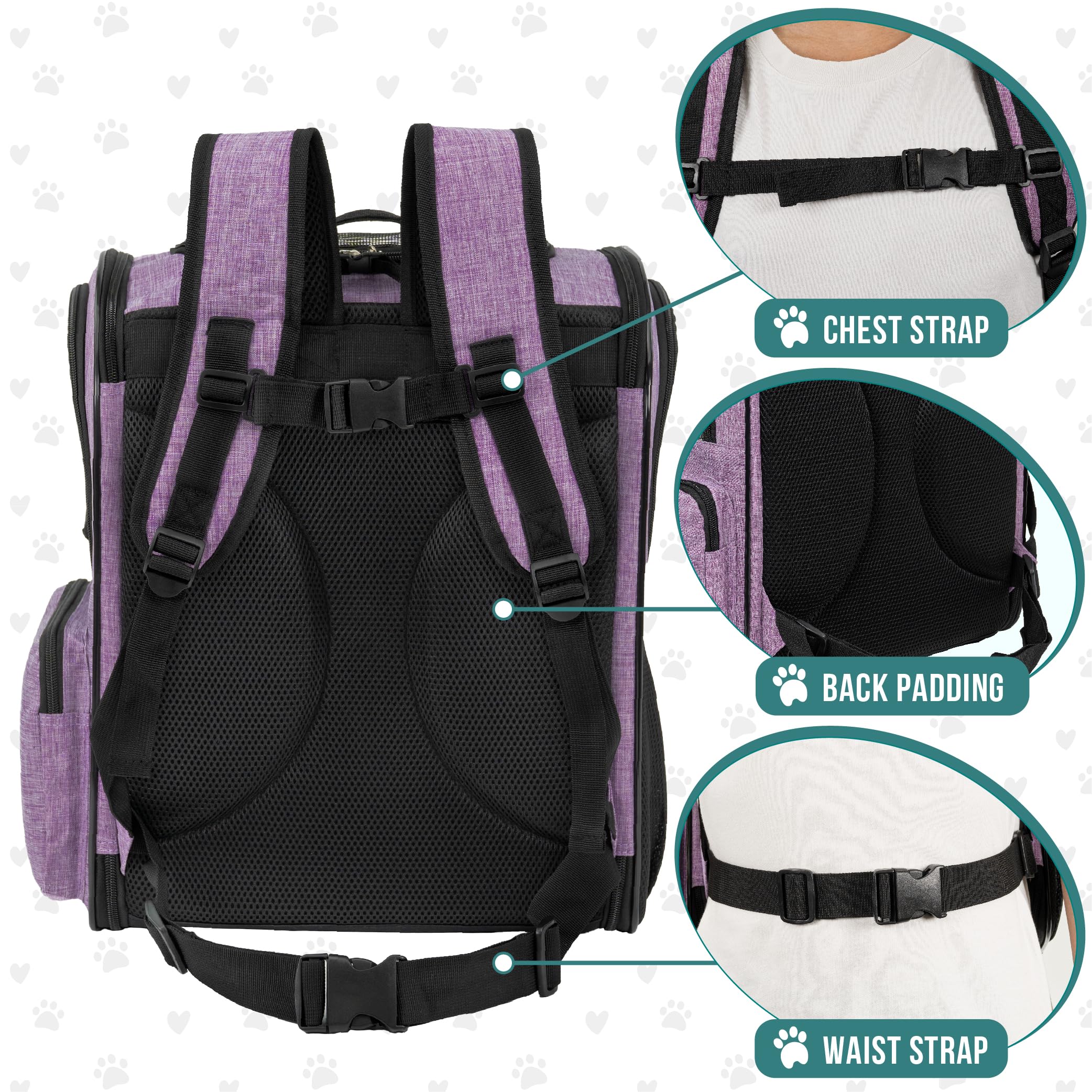 PetAmi sac à dos bretelles rembourrées et attaches poitrine/ceinture pour confort