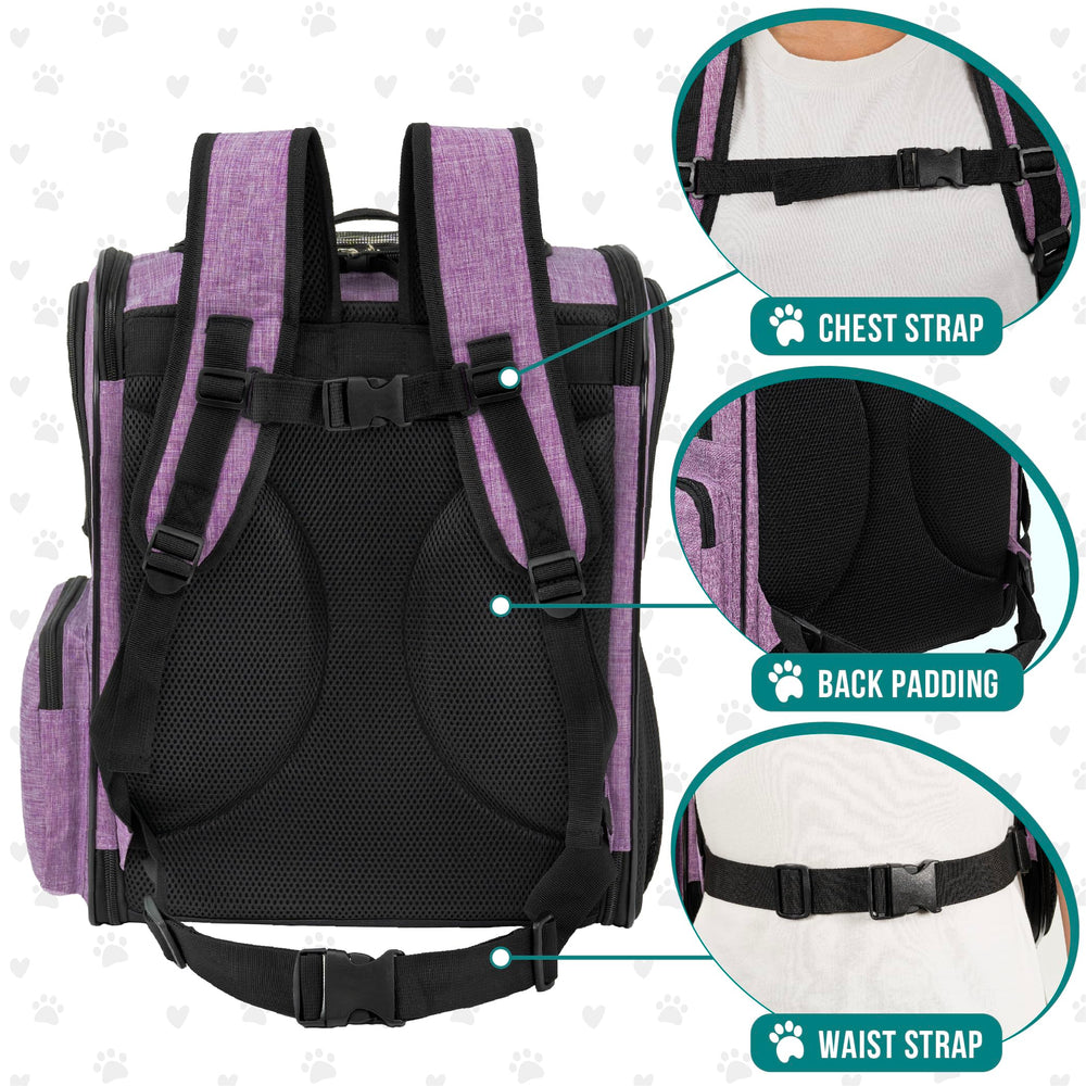 PetAmi sac à dos bretelles rembourrées et attaches poitrine/ceinture pour confort