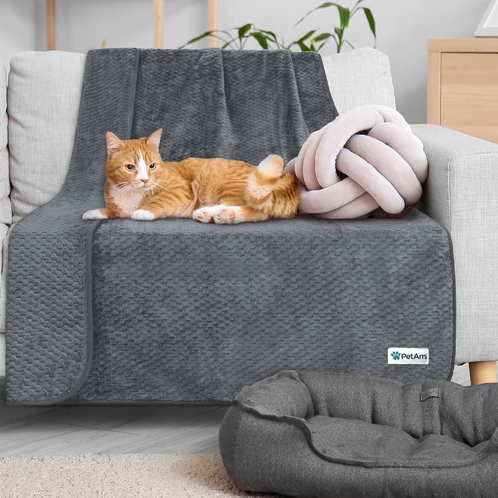 PetAmi comparaison taille avec objet montre dimensions 40x60 pratiques