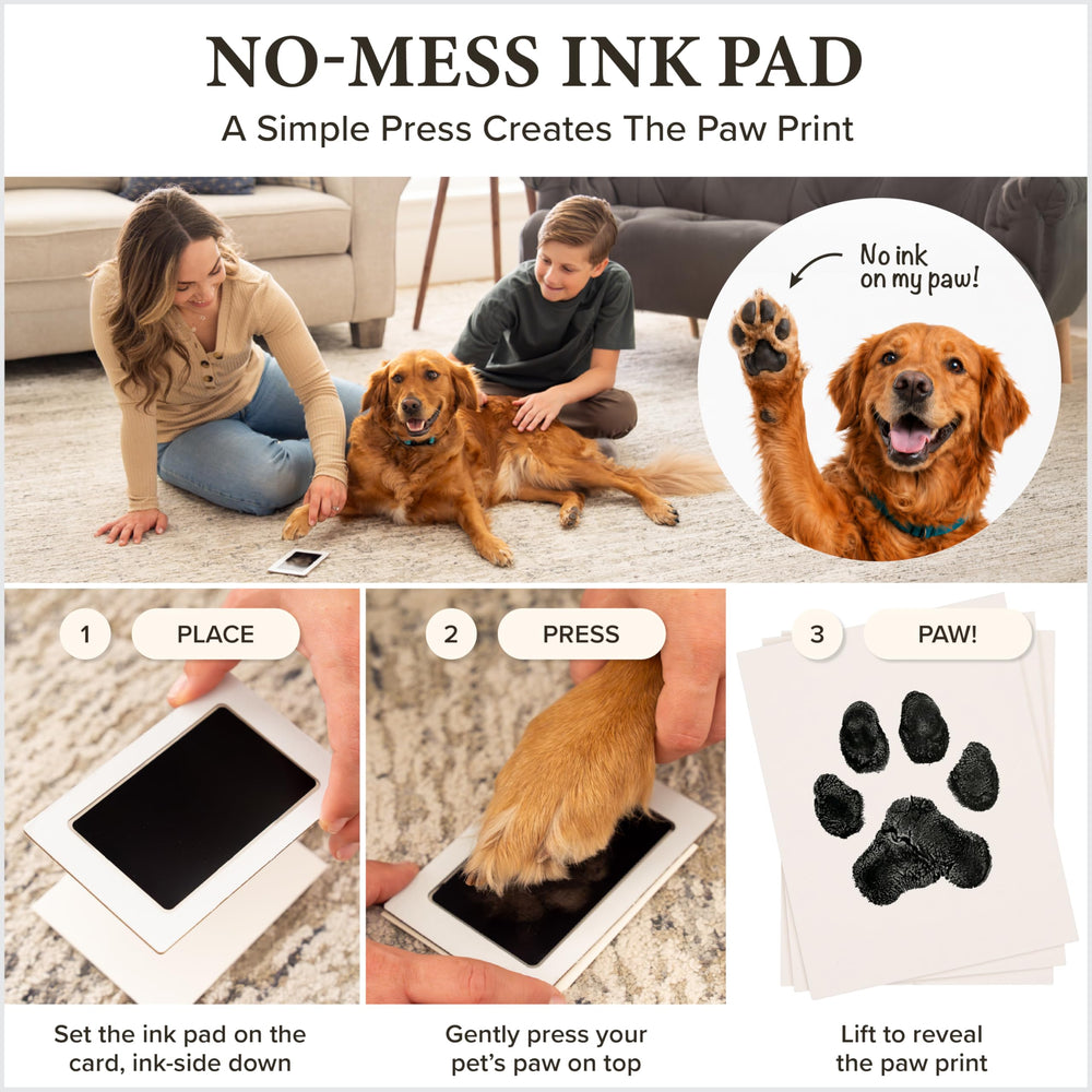 PETAMICS album photo inclus ouvert pour conserver images et notes, durable