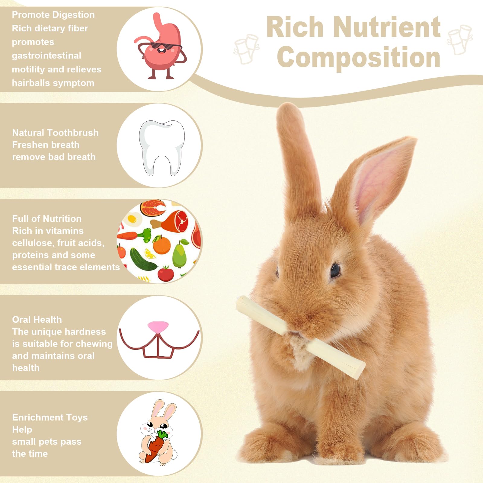 Image Petawi lapin mordant un bâtonnet pour occupation et usure dentaire