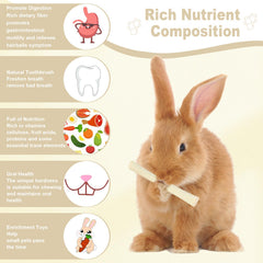 Image Petawi lapin mordant un bâtonnet pour occupation et usure dentaire