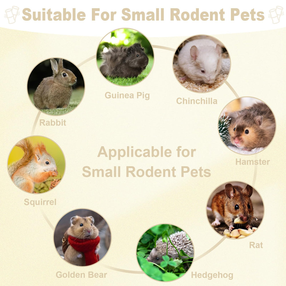 Image Petawi sachet ouvert révélant quantité et variété de bâtonnets